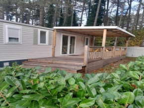 Comfy chalet in Rijkevorsel with swimming pool
